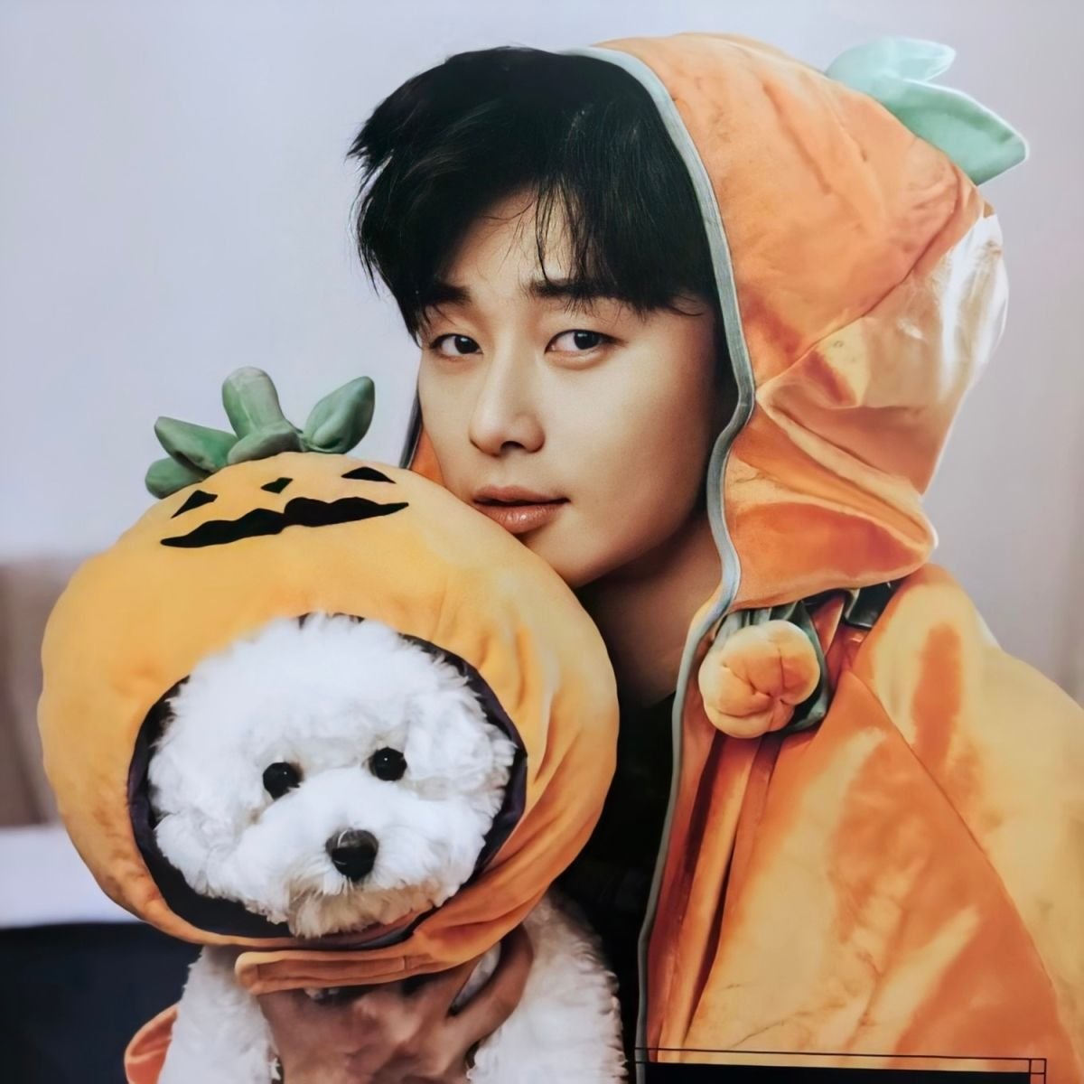 Park Seo Joon lives alone with his pet 0