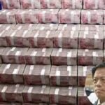 Strange ways to hide money of corrupt Chinese officials 0