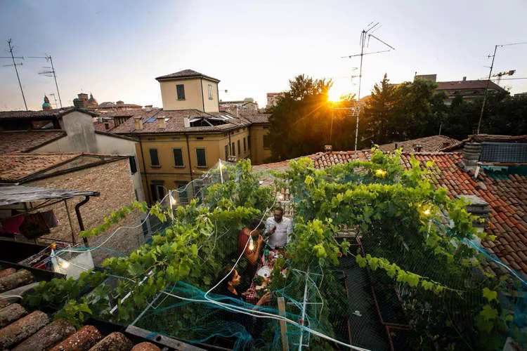 Strangely, the smallest vineyard in the world: Only produces 29 bottles of wine per year but no one can drink it 1